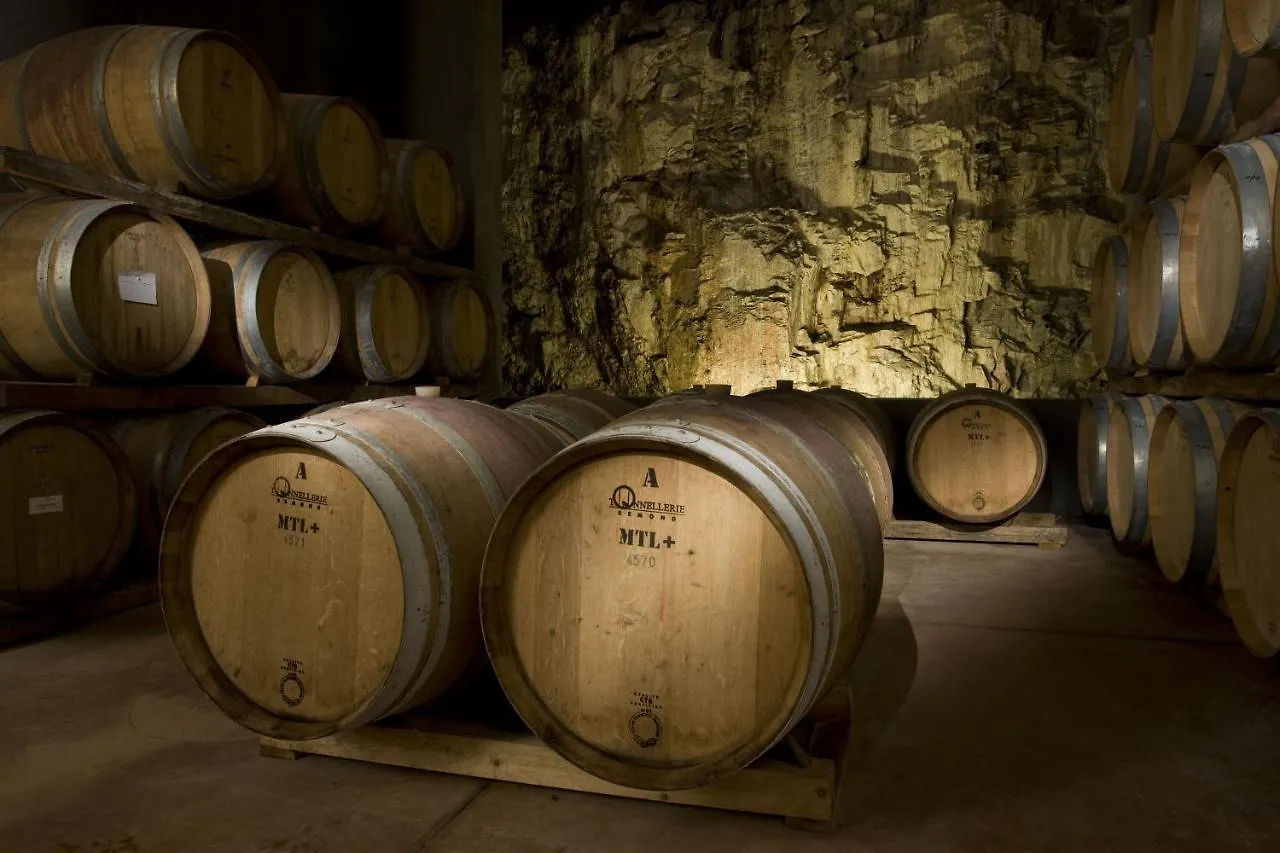 كاستيلّينا إنْ كْيانت Castello Di Fonterutoli Wine Resort إيطاليا